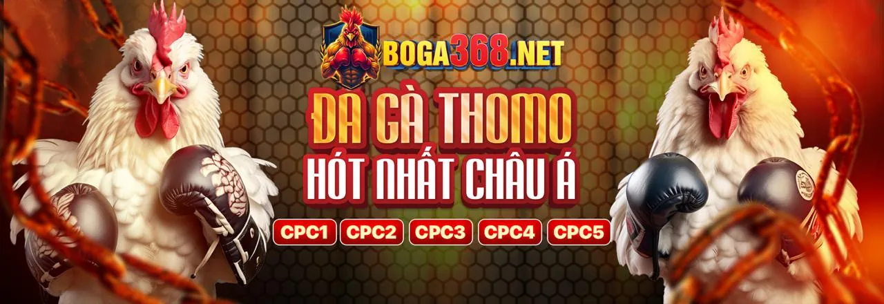 Giao diện xem đá gà trực tiếp chất lượng cao tại 78bet
