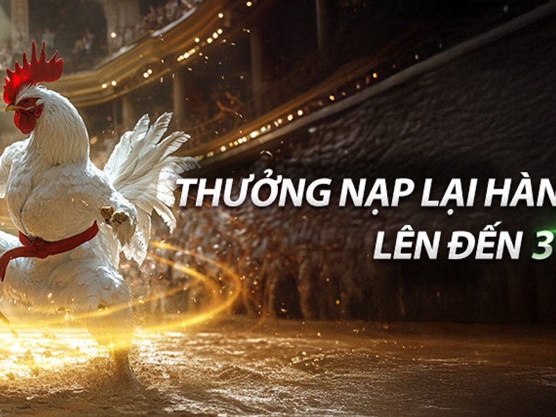 Hoàn trả hàng ngày cho xổ số 78bet